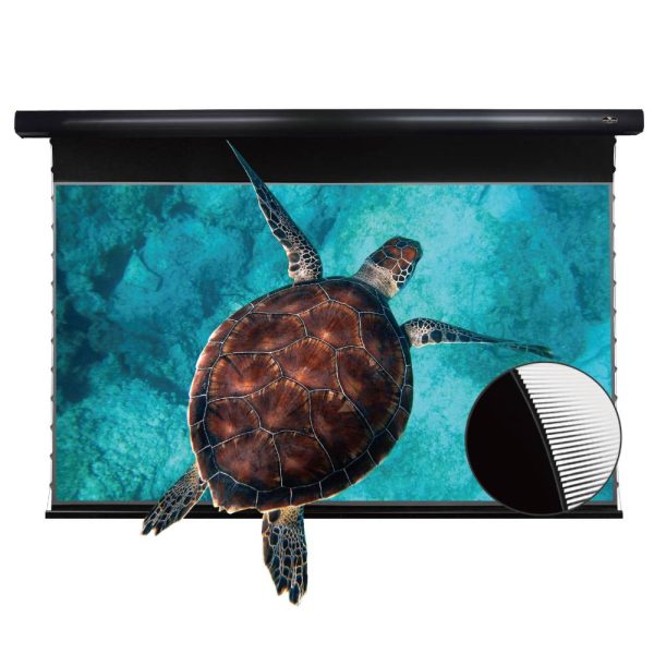 VIVIDSTORM PRO Slimline Motorised Drop Down Projector Screen for UST Laser Projectors