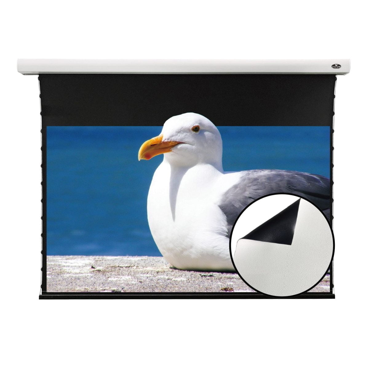VIVIDSTORM Slimline Motorised Drop Down Projector Screen with White Cinema Material for Standard Throw Projectors - Image 1