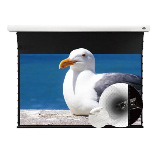 VIVIDSTORM Slimline P Motorised Drop Down Projector Screen with White Cinema Material with Acoustic Transparency (For Normal Projectors)