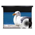 VIVIDSTORM Slimline P Motorised Drop Down Projector Screen with White Cinema Material with Acoustic Transparency (For Normal Projectors) - Image 15