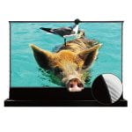 VIVIDSTORM S PRO Motorised Floor Rising CLR/ALR UST Laser Projector Screen - Image 5